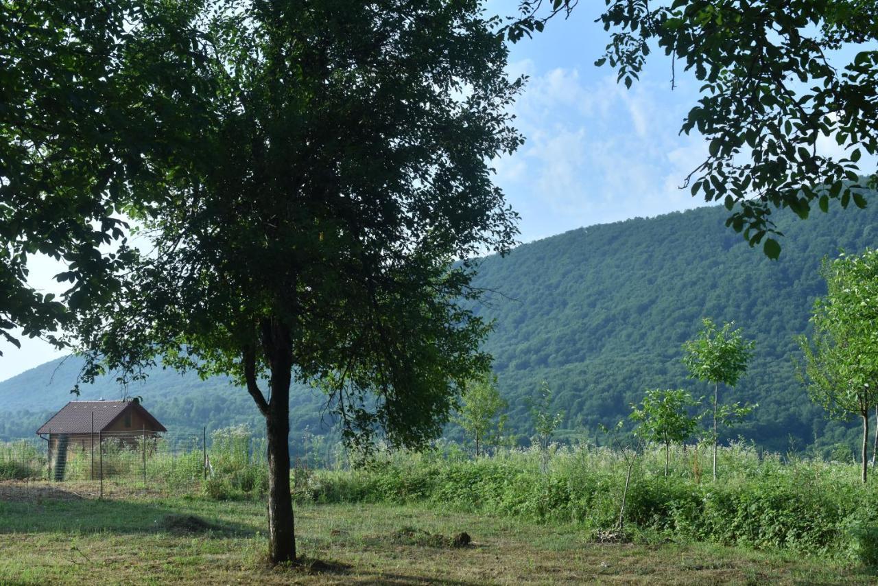 Imanje Jelas Slunj Exterior photo